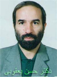 Hassan Yaghoubi