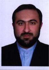 seyyed hadi mirmahmoudi